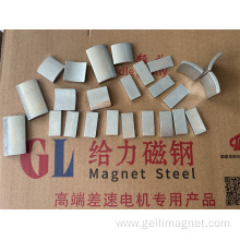 Customized Arc Magnet Use For Motors